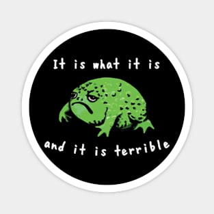 It Is What It Is And It Is Terrible Frog Funny Meme Magnet